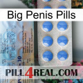 Big Penis Pills 39